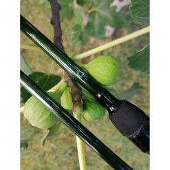 Flanx Green One Carp